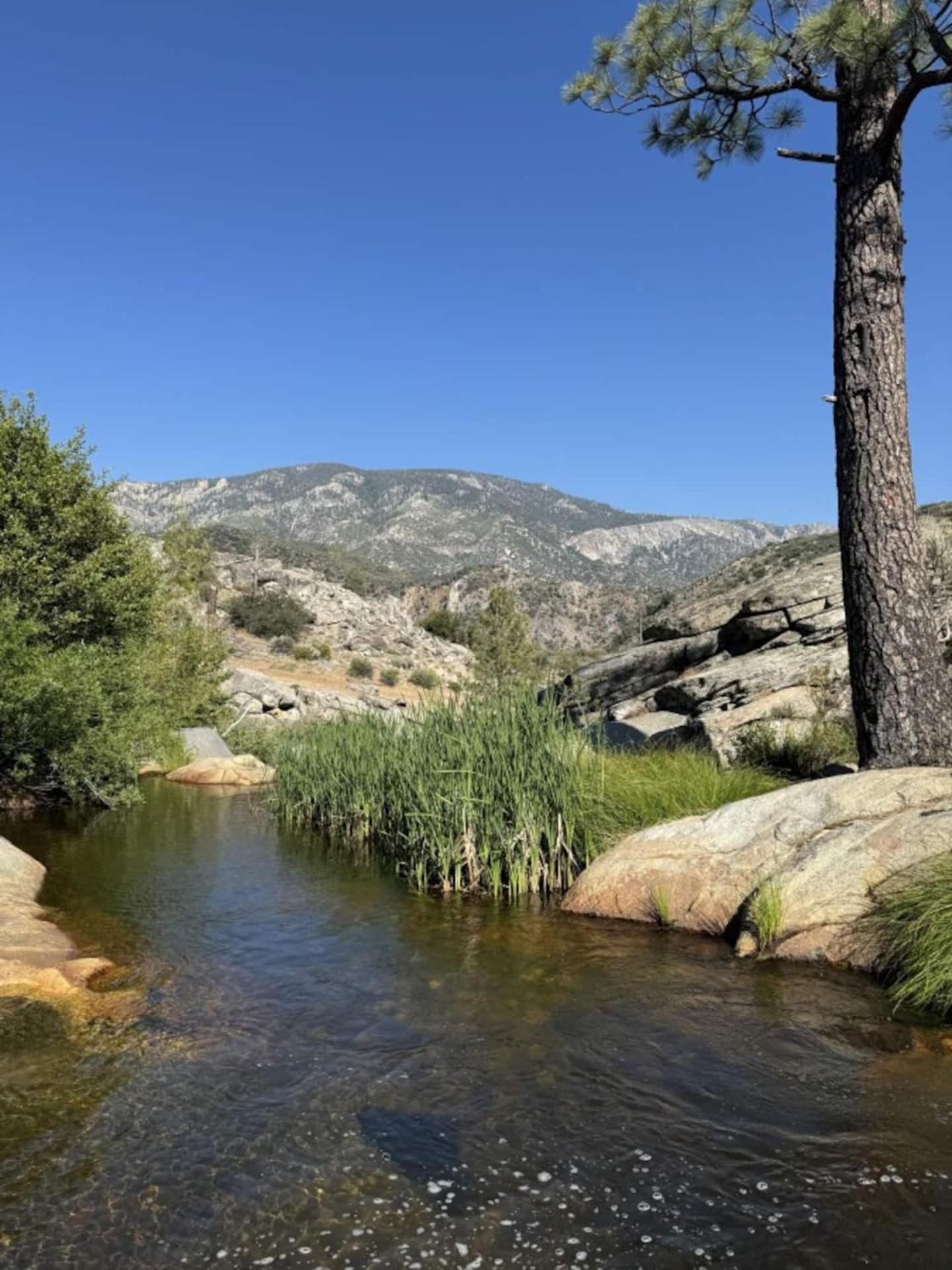 Peppermint Falls Ranch Ponderosa Eksteriør bilde