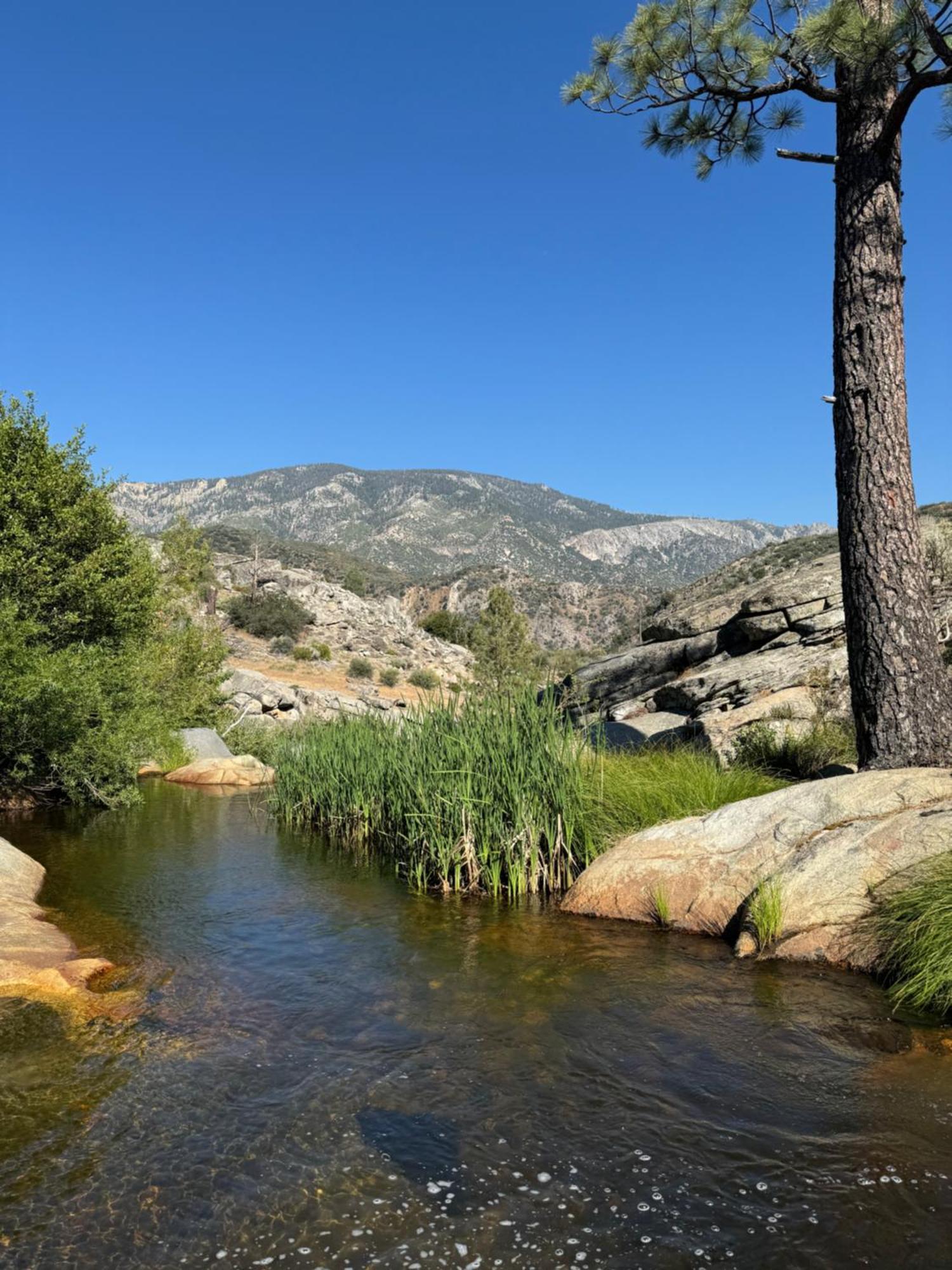 Peppermint Falls Ranch Ponderosa Eksteriør bilde